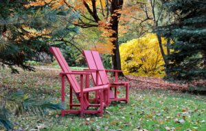 How to maintain your garden in autumn: what you need to know