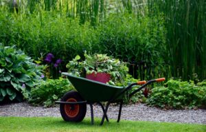 maintaining your garden