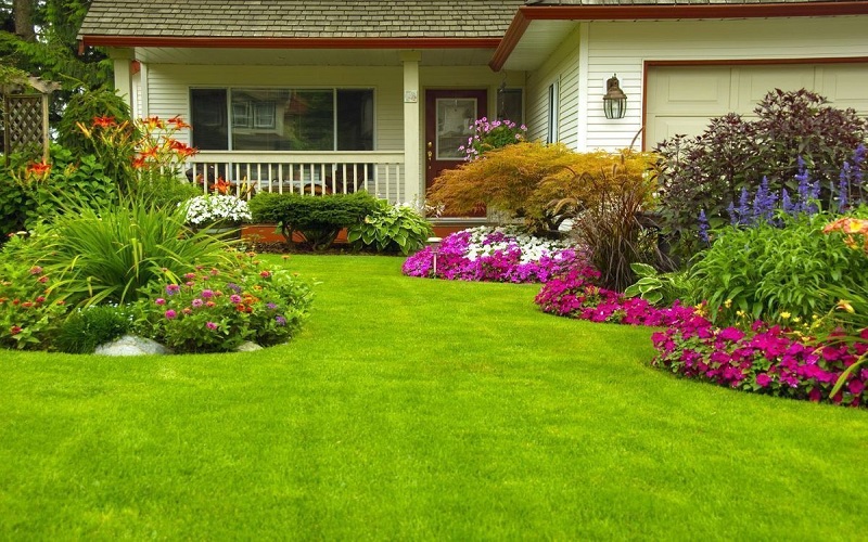 Eco-Friendly Landscape Maintenance for Your Homes