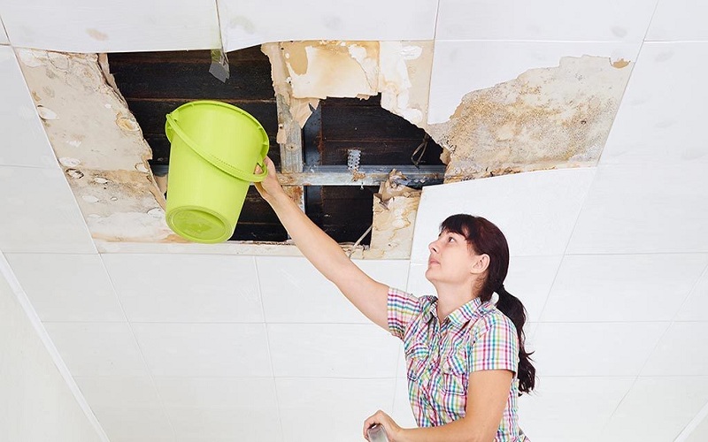 Why You Need Professional Water Damage Restoration Services