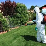 lawn care services in Aurora