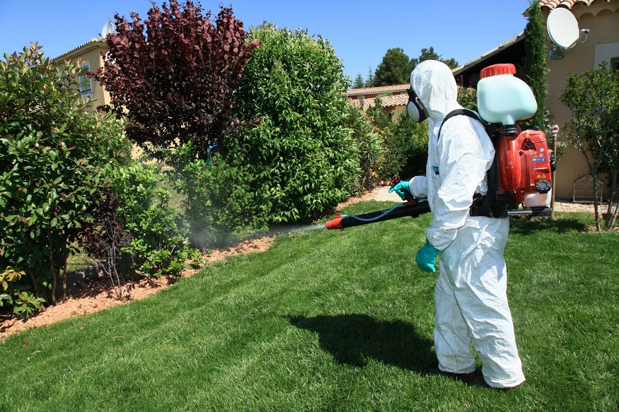 lawn care services in Aurora