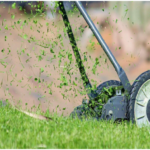 Improve Your Lawn
