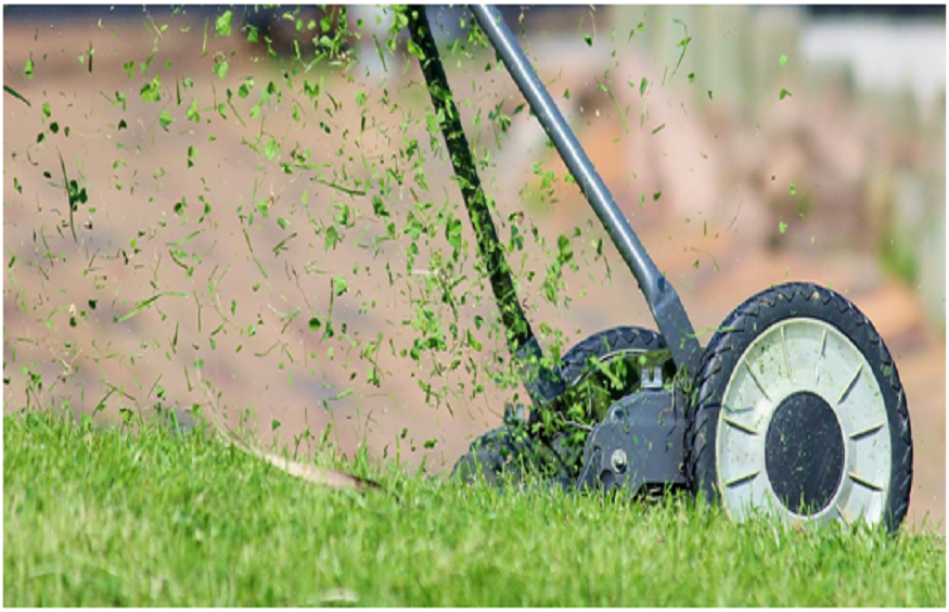 Improve Your Lawn