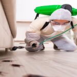 pest control company in Reston