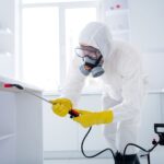 Professional Pest Solutions